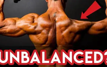 Top 5 rows exercises for back