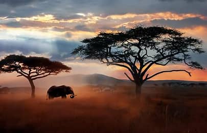 reason to visit Africa