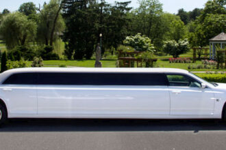 5 facts about limousine you didn't know