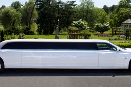 5 facts about limousine you didn't know