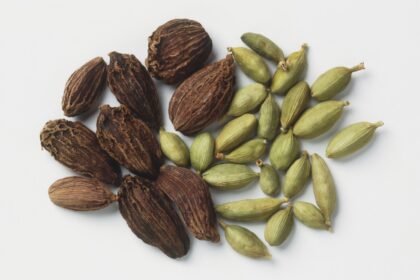 major benefits of cardamom