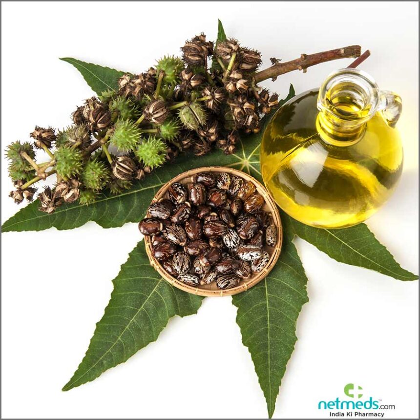 Why jojoba oil is so popular 