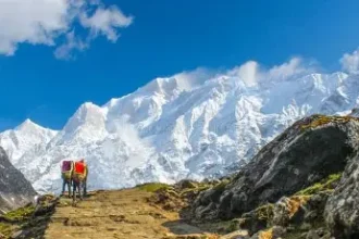 Top 5 unique animal species in near kedarnath 