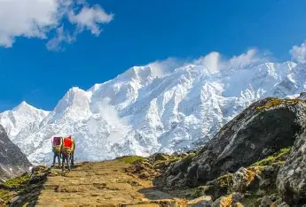 Top 5 unique animal species in near kedarnath 