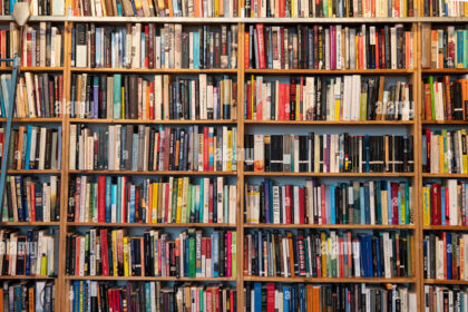 horror novel in book shelf