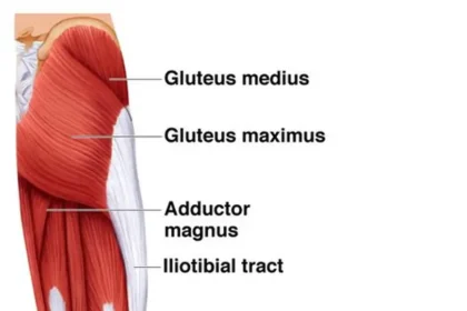 Top 5 exercises to build hamstring muscles 